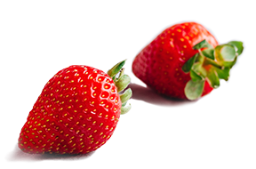 Abbildung von zwei Erdbeeren